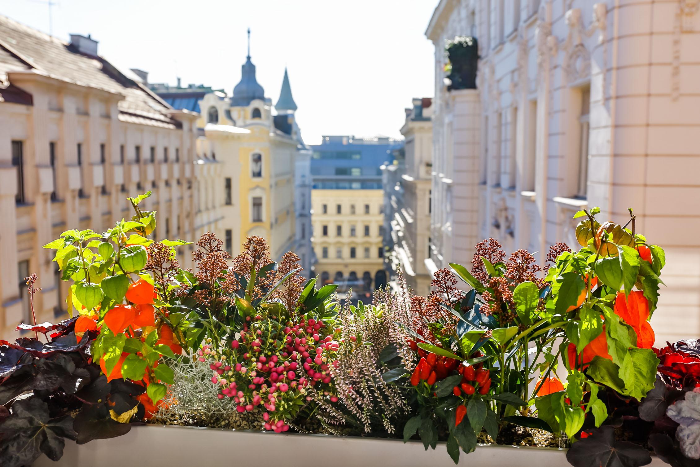 Boutiquehotel Das Tyrol Viena Exterior foto